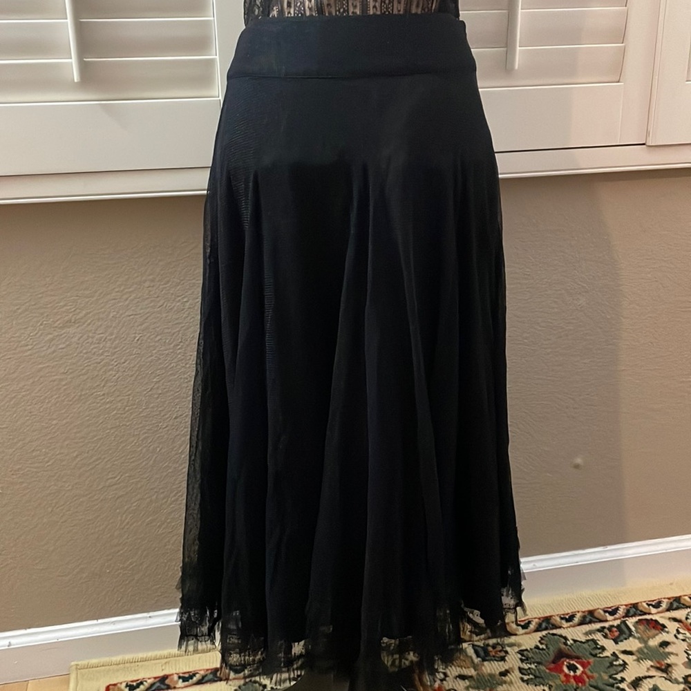 Vintage Swiss Polka dot Sheer A-lined Skirt